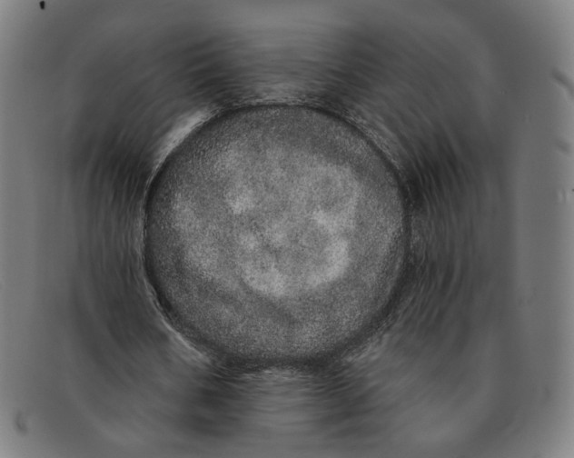 X0000091310578200708311358