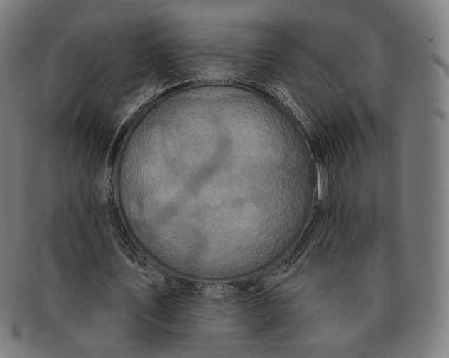 X0000091310579200708311358