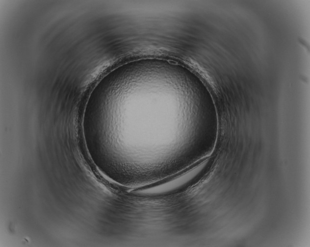 X0000091310581200708311358