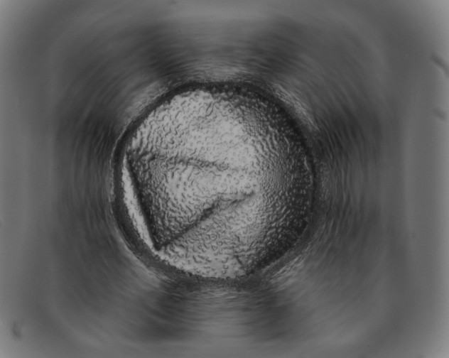 X0000091310582200708311358