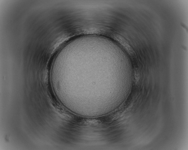 X0000091310583200708311358