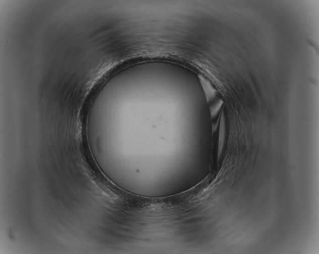 X0000091310584200708311358