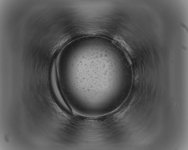 X0000091310585200708311358