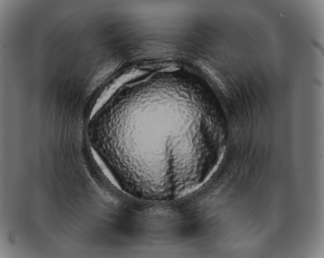 X0000091310586200708311358