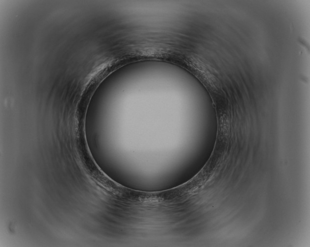 X0000091310587200708311358