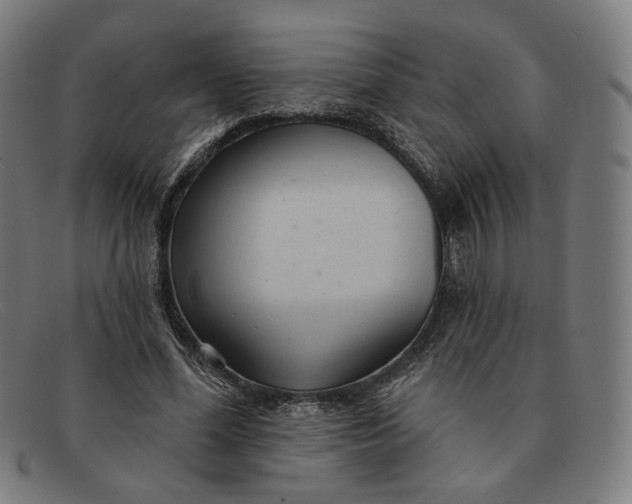 X0000091310588200708311358