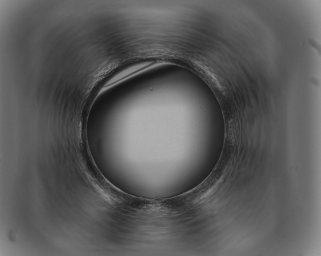 X0000091310589200708311358