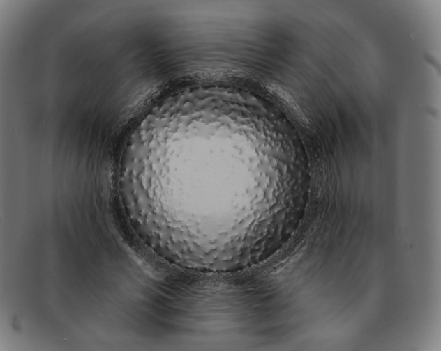 X0000091310590200708311358