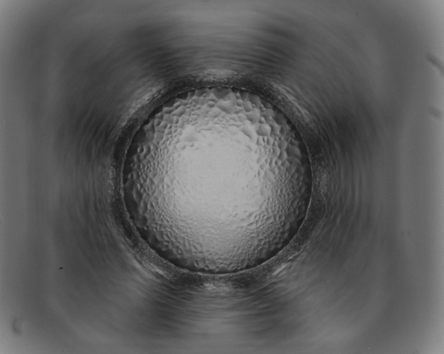 X0000091310591200708311358