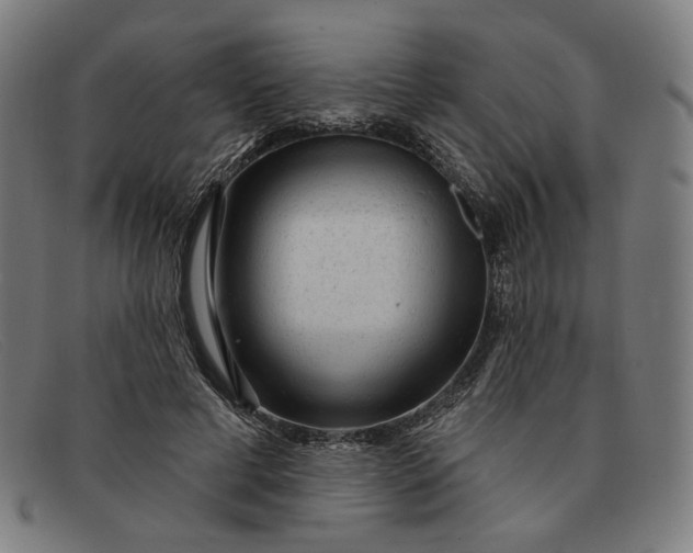 X0000091310593200708311358