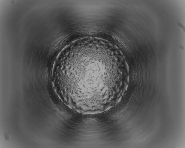 X0000091310594200708311358