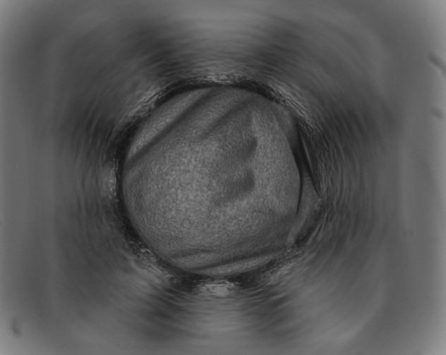 X0000091310595200708311358