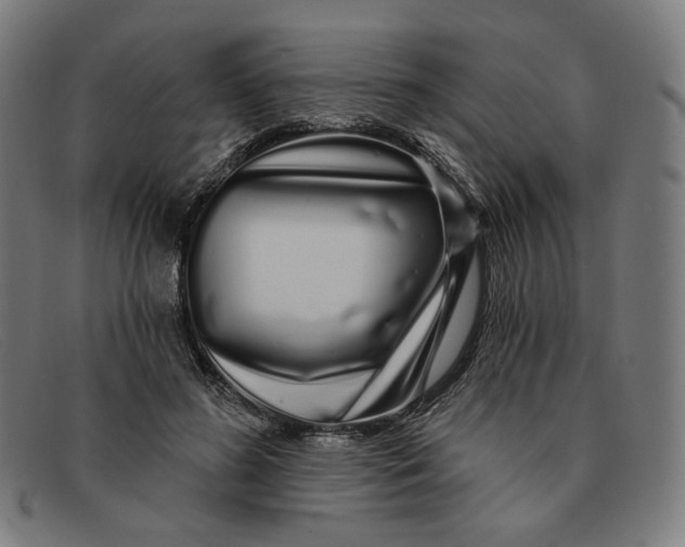 X0000091310596200708311358