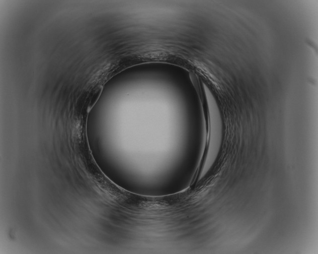 X0000091310597200708311358