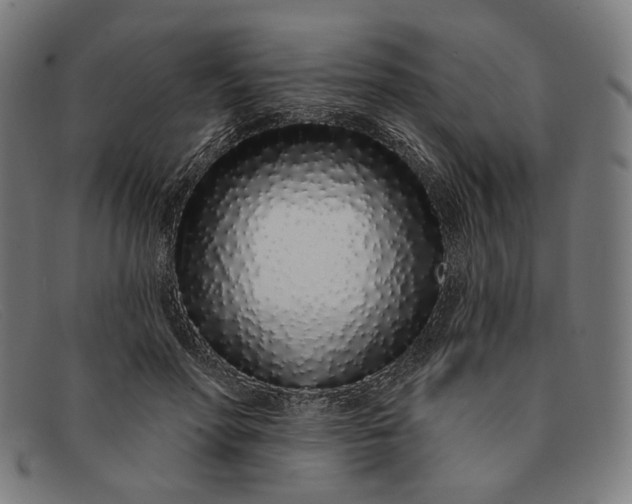 X0000091310598200708311358