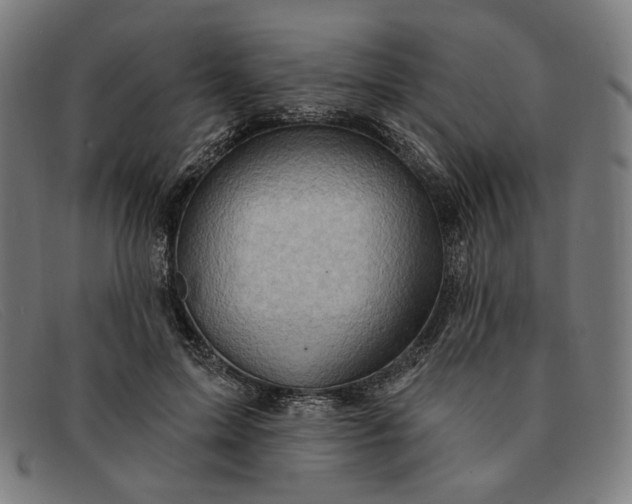 X0000091310599200708311358