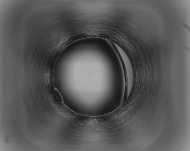 X0000091310600200708311358