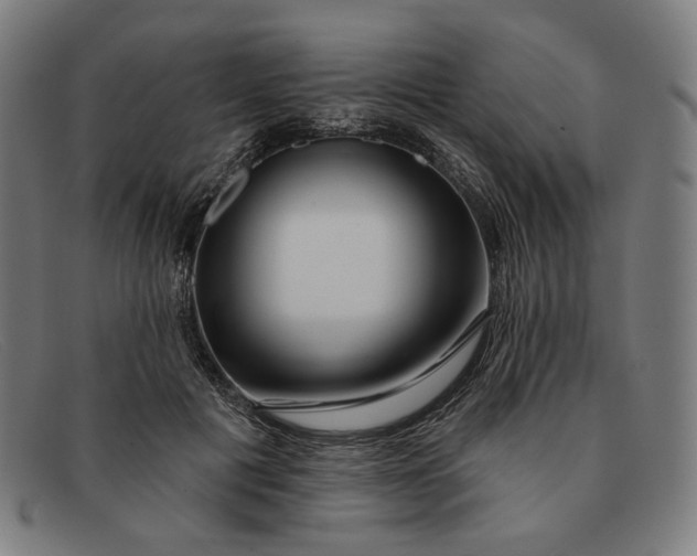 X0000091310601200708311358