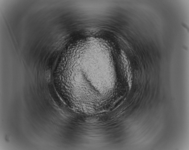 X0000091310602200708311358