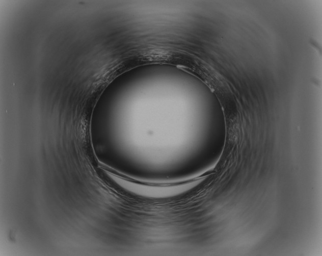 X0000091310604200708311358