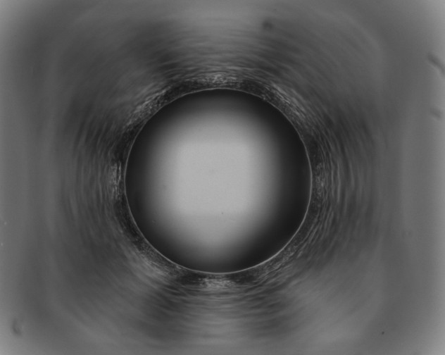 X0000091310605200708311358