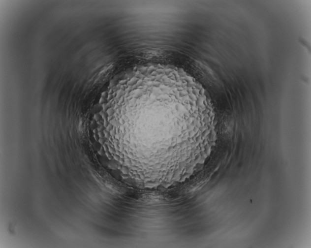 X0000091310607200708311358