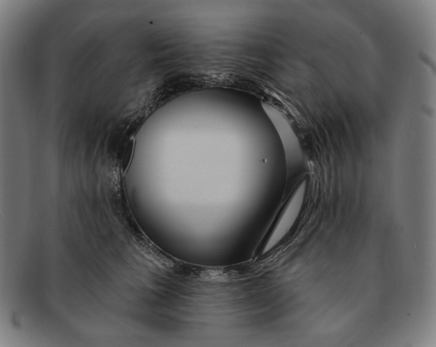 X0000091310613200708311358