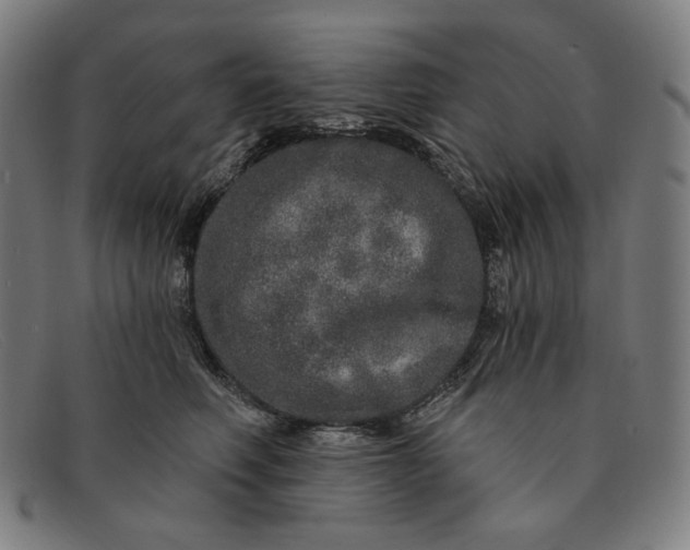 X0000091310614200708311358