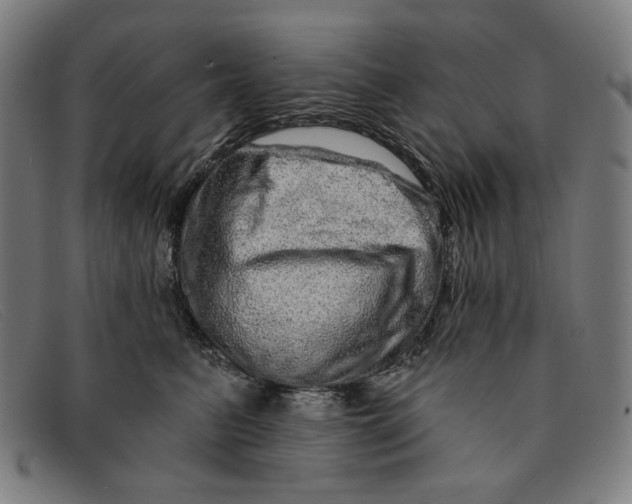 X0000091310615200708311358