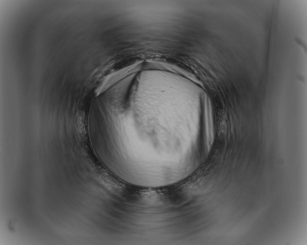 X0000091310616200708311358