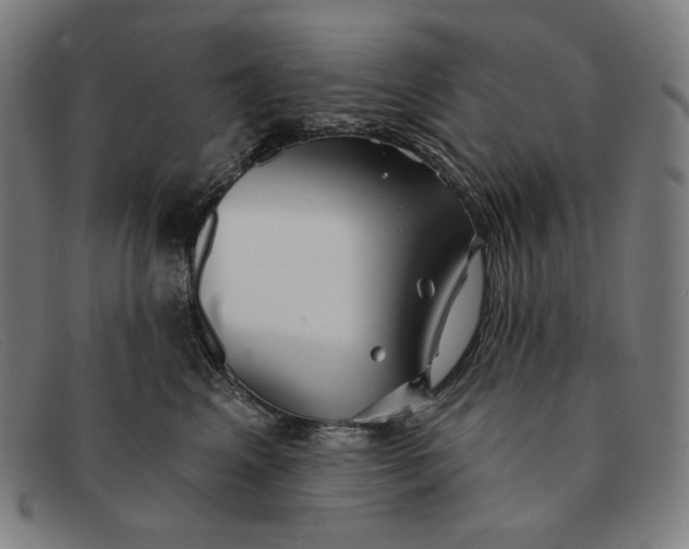 X0000091310617200708311358