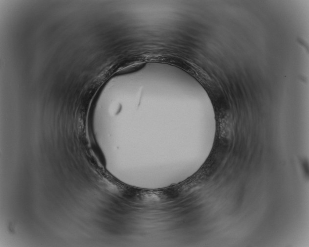 X0000091310618200708311358