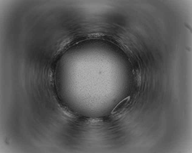 X0000091310619200708311358