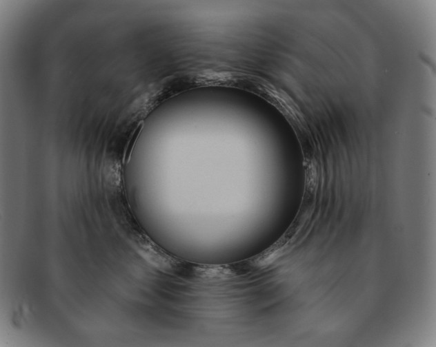 X0000091310621200708311358