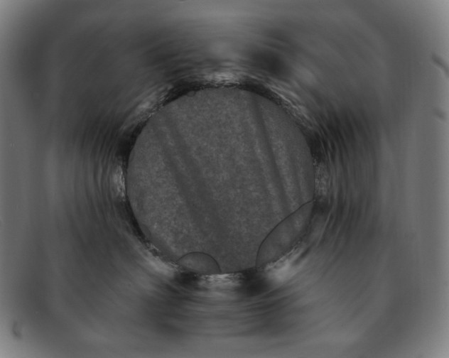 X0000091310622200708311358