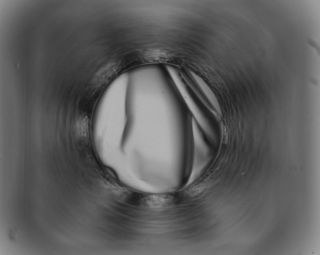 X0000091310623200708311358