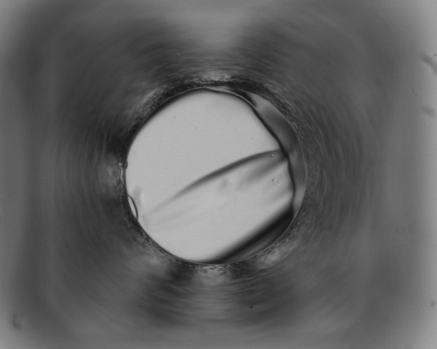 X0000091310624200708311358