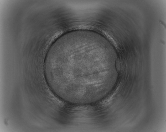 X0000091310625200708311357