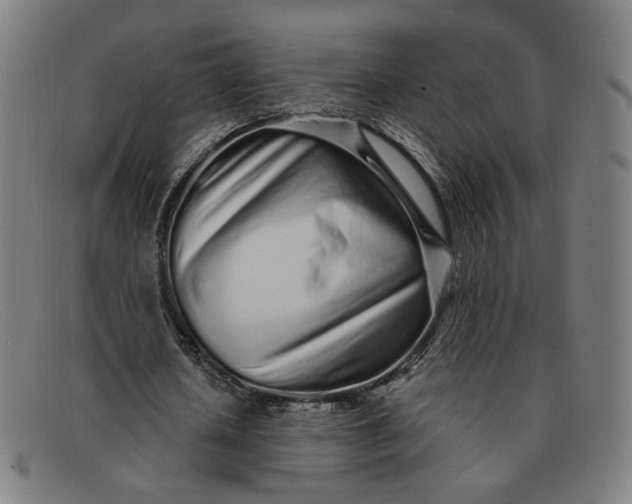 X0000091310626200708311357