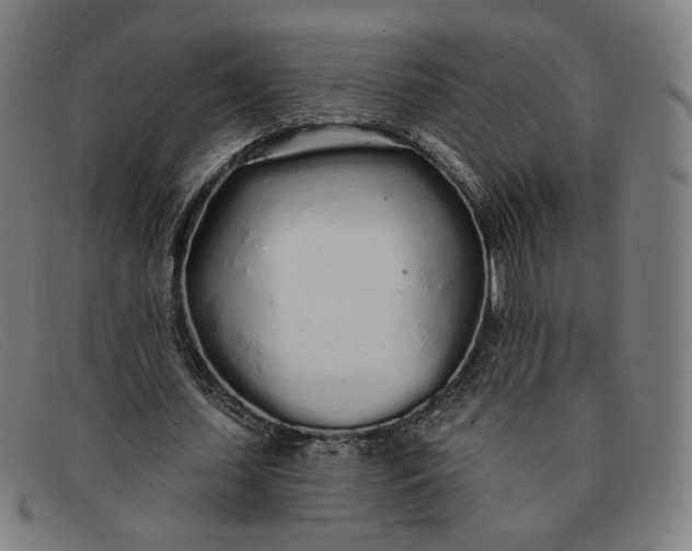 X0000091310627200708311357