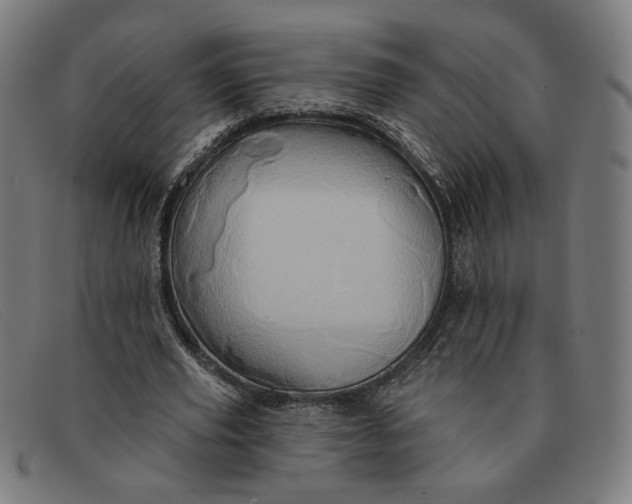 X0000091310629200708311357