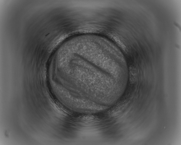 X0000091310631200708311357