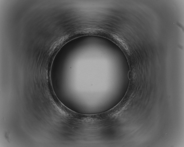 X0000091310633200708311357