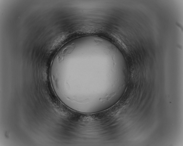 X0000091310635200708311357