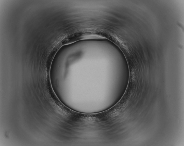 X0000091310637200708311357