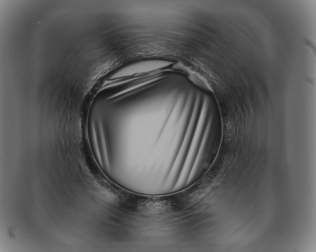 X0000091310638200708311357