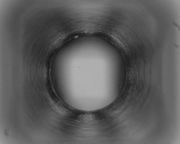 X0000091310639200708311357