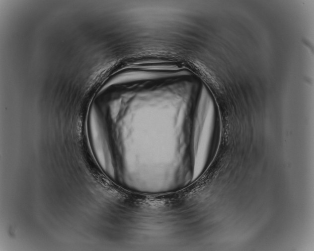 X0000091310640200708311357