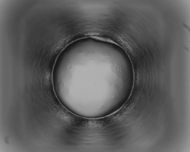 X0000091310641200708311357