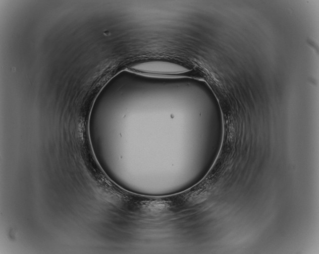 X0000091310643200708311357